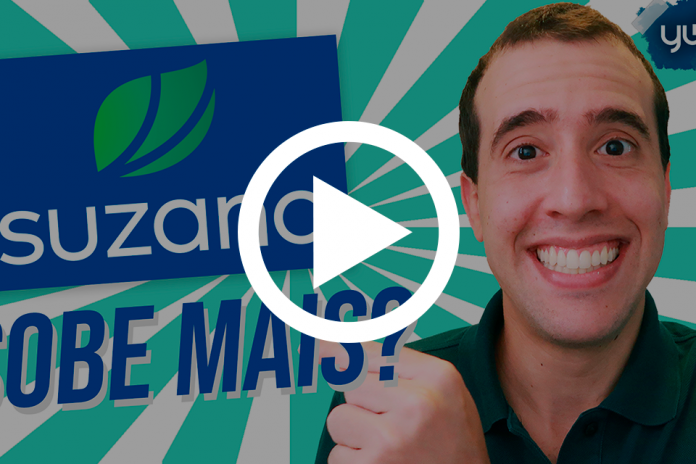 Suzano (SUZB3): como foi o resultado do 3T20? resultado suzano