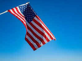 Bonds: o que são e como investir nesses títulos investir nos estados unidos