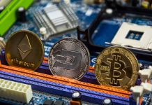 É melhor investir em Bitcoin ou em altcoins?