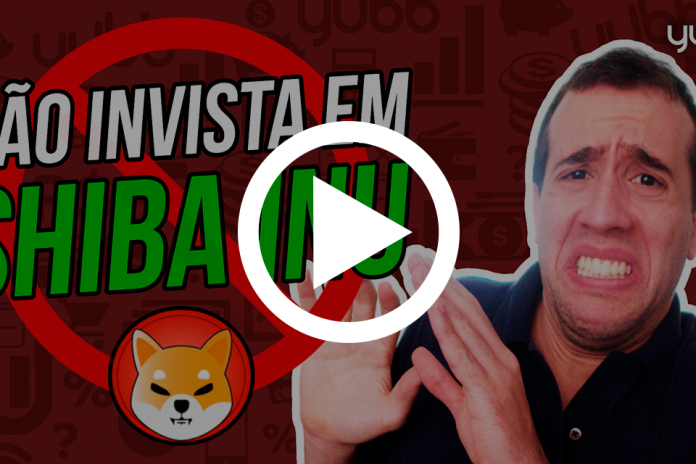 Shiba Inu (SHIB): vale a pena comprar essa criptomoeda? shiba inu