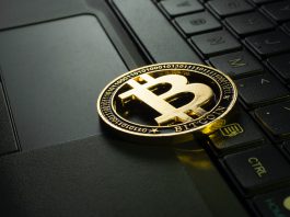 Vale a pena começar a investir em criptomoedas?
